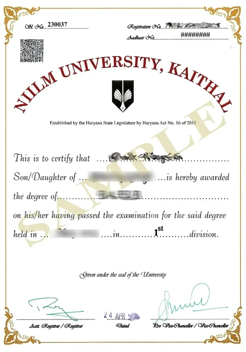 niilm university btech degree